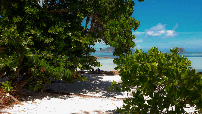 anse la reunione la digue seychelles