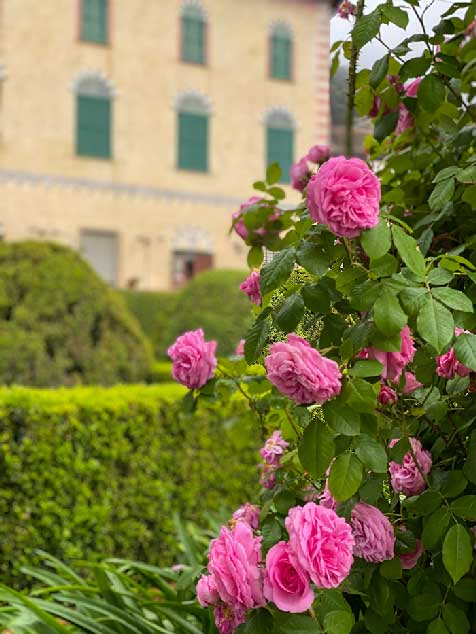 Giardino di orse a La Cervara per un weekend in Liguria