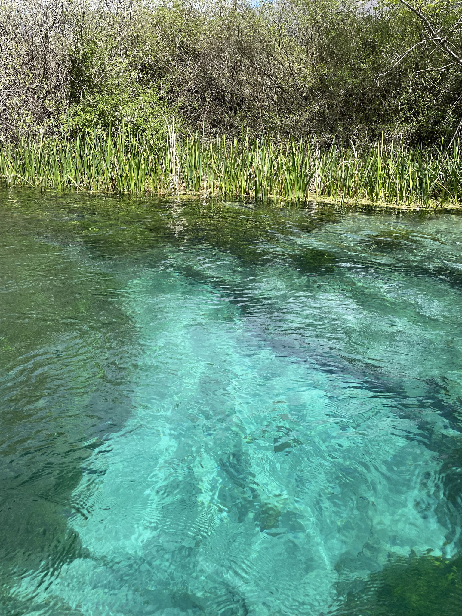 Canoa sul fiume Tirino il fiume più pulito d'Italia due giorni in abruzzo